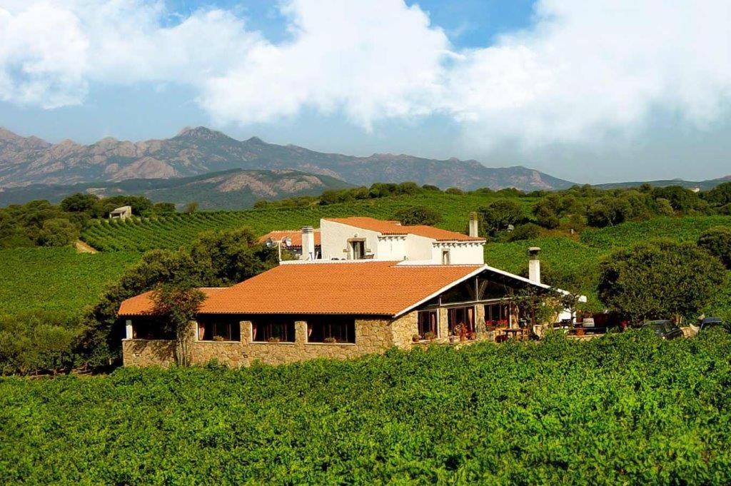 Agriturismo Vermentino Monti Buitenkant foto