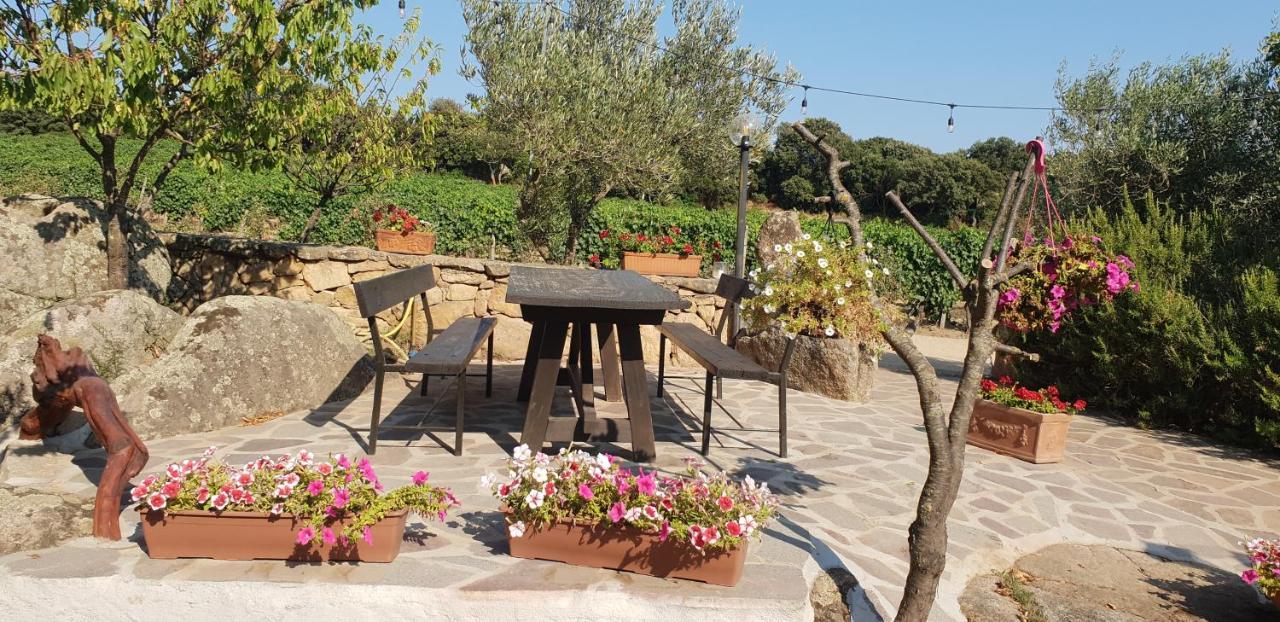 Agriturismo Vermentino Monti Buitenkant foto